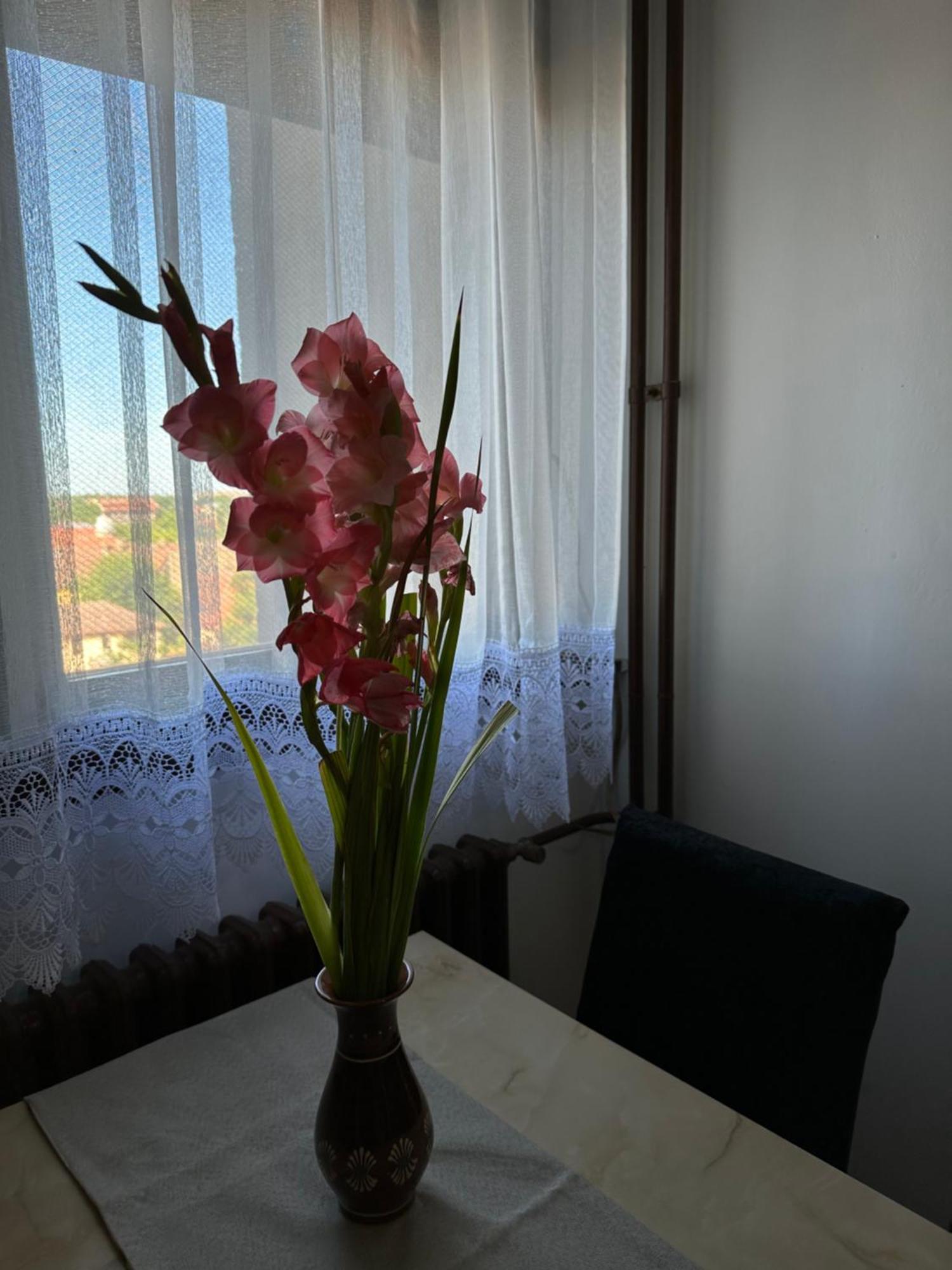 סובוטיקה Tamaris Apartment מראה חיצוני תמונה